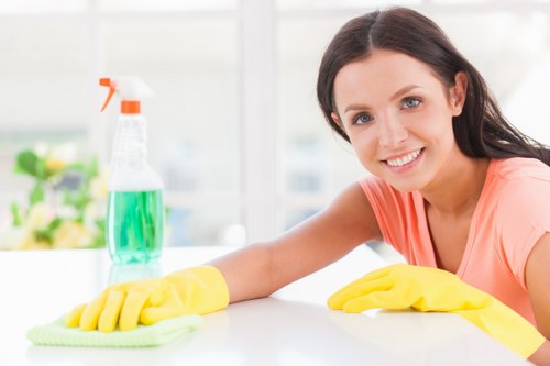 Cleaning team sorting recyclable household materials in a London home