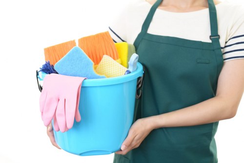 Professional cleaners in London working in a modern flat