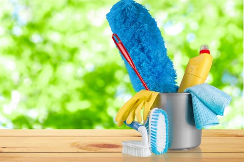 Professional carpet cleaner in London using deep cleaning equipment in a home setting