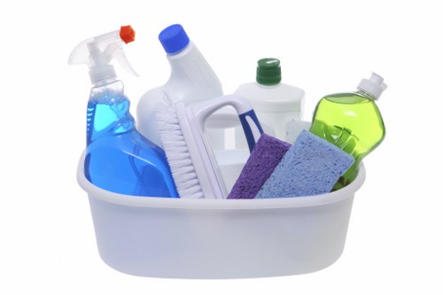 Professional cleaner in London working in a bright living room