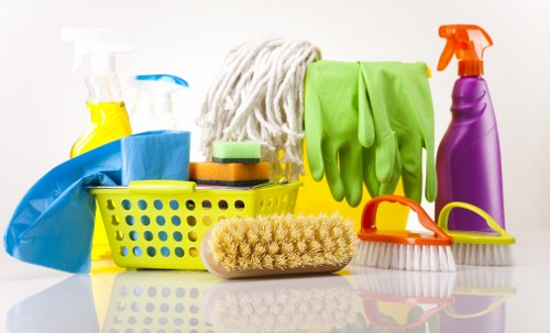 Deep cleaning service for a busy London household