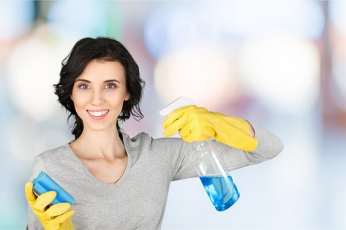 Professional home cleaners in London providing domestic cleaning support