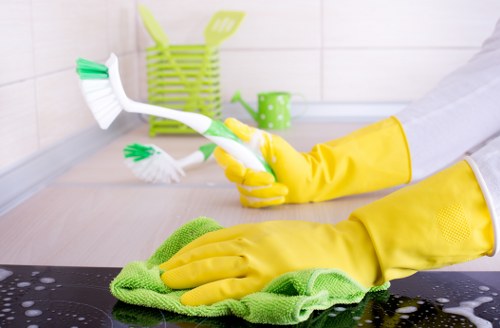 Seasonal domestic cleaning in a London household