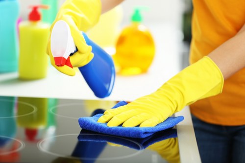 Household cleaning payment and terms agreement
