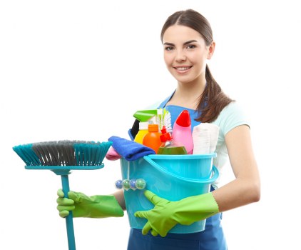 Client submitting a domestic cleaning complaint with written details