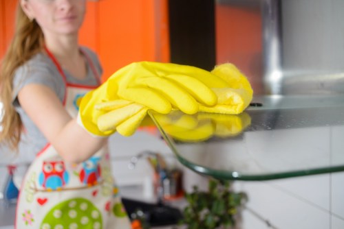 Oven cleaner in London polishing the oven glass door and interior