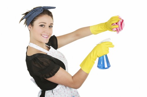 Supervisor assessing a domestic cleaning issue and service notes
