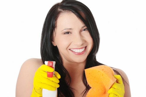 Cleaning products and tools arranged safely for home use