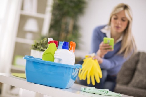 Trusted domestic cleaning in London supporting a cleaner healthier home