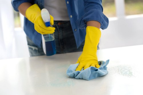 Cleaner applying eco-friendly carpet cleaning solution in London